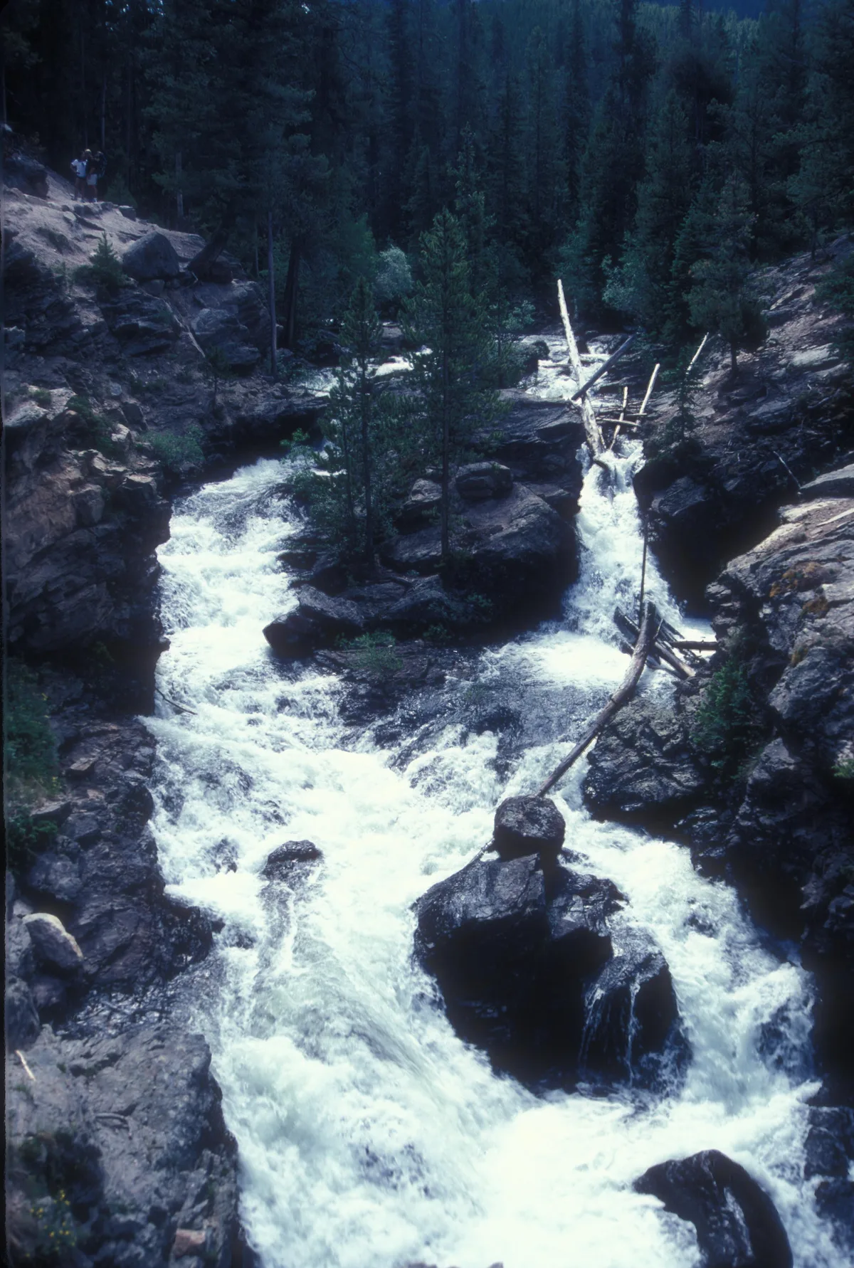 White water rushes through a narrow rocky canyon, splitting around dark boulders and fallen logs as it drops in several churning cascades. Dense evergreen trees frame the falls, with a couple of small hikers visible on the cliff at upper left.