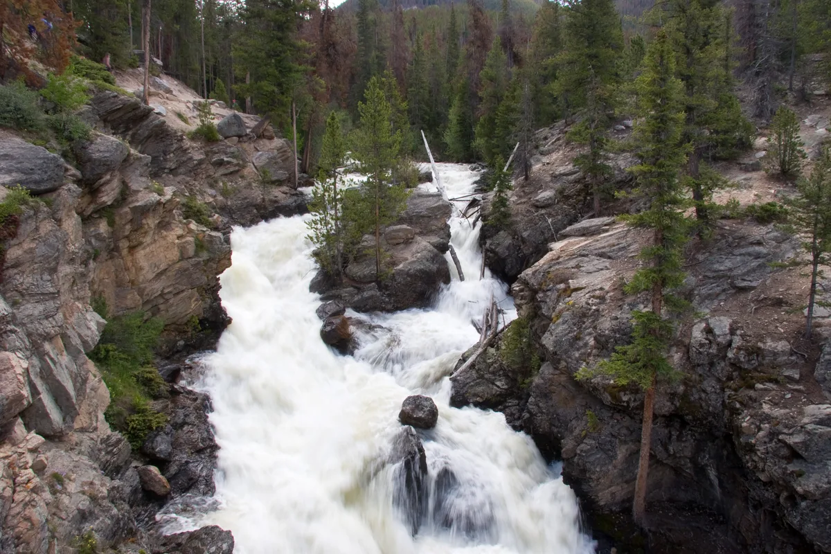 Water rushes through a narrow granite gorge at Adams Falls, spilling over dark rock ledges in a bright white cascade framed by pines. The scene shows spring runoff filling the falls from edge to edge, with mossy stone and rugged canyon walls on both sides.