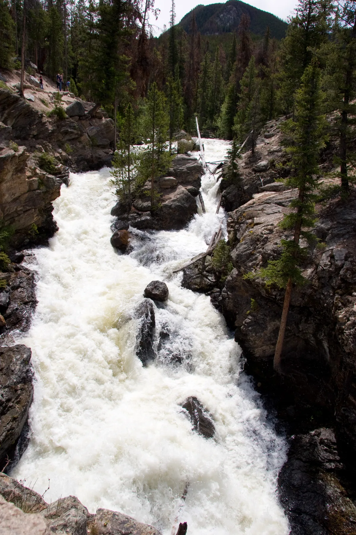 White water surges through a narrow granite canyon, splitting around boulders and fallen logs as it drops in a powerful cascade. Evergreen trees crowd the rocky banks, with a few hikers visible on the left ridge above the falls.