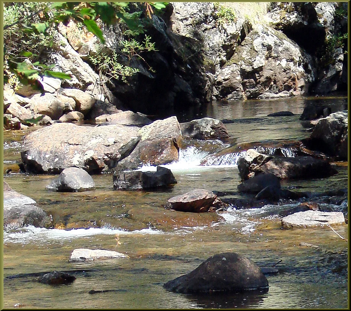 Shallow water flows over smooth rocks and boulders in a narrow creek bed, with sunlight highlighting the ripples and the mossy granite walls beyond. The scene feels quiet and intimate, focused on the lower cascade rather than the full falls.