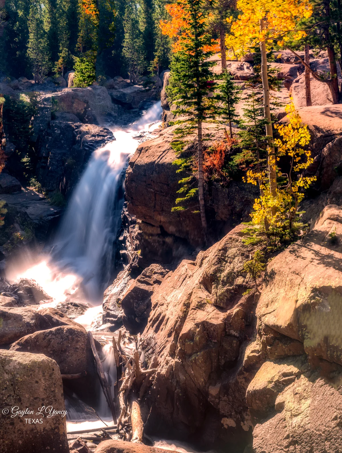 Sunlit long-exposure waterfall spilling through a narrow granite gorge, with silky white water dropping over dark rock into a pool below. Golden autumn aspens and tall spruce trees frame the falls, and large boulders catch warm morning light.