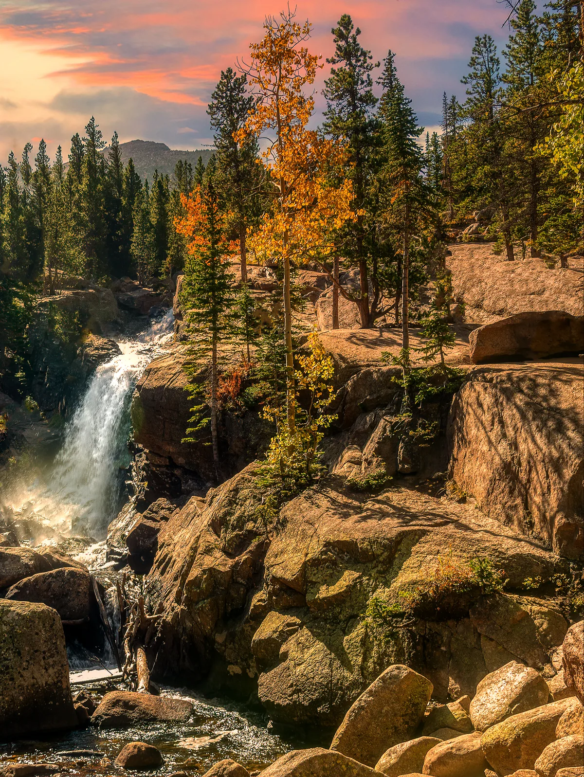 Alberta Falls drops in a white, silky curtain through a narrow granite gorge, surrounded by sunlit boulders and tall spruce and fir trees. Golden autumn aspens and a pink-orange morning sky add warm color above the shadowed creek below.
