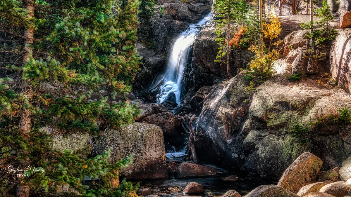 A small waterfall spills through a narrow granite gorge, with silky long-exposure water framed by dark rocks and dense spruce and fir trees. Warm morning light catches the rock walls and a few golden autumn leaves along the right edge.