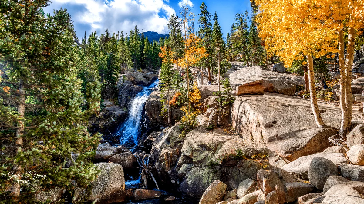 A small waterfall drops through a narrow granite gorge, framed by dark evergreens and glowing golden aspens under a bright blue sky. Sunlight catches the pale boulders and the autumn leaves, giving the scene a crisp early-morning feel.