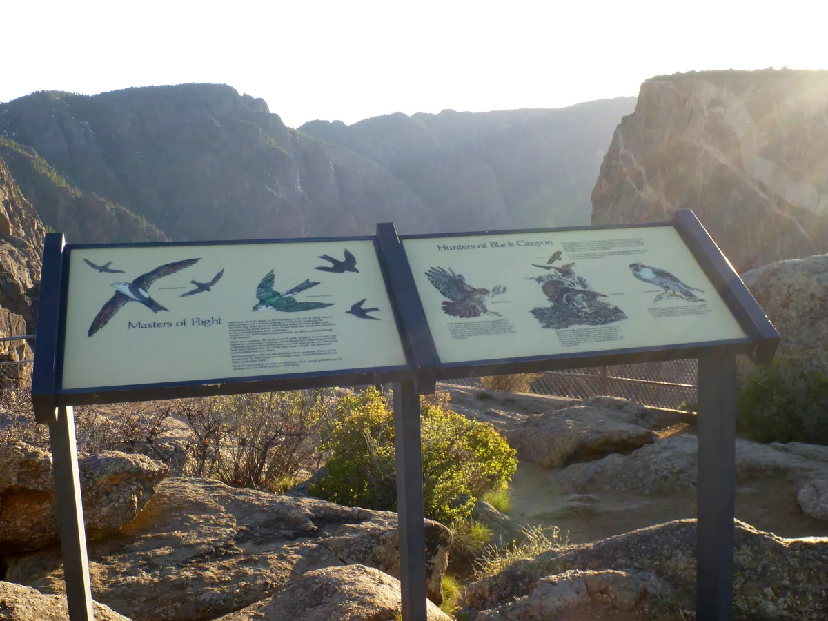 Sunlit overlook signs about canyon birds stand in front of the sheer, dark walls of Black Canyon, with the Painted Wall rising in the hazy morning distance. Rocky foreground ledges and a bright glare from the upper right emphasize the canyon’s depth and dramatic scale.