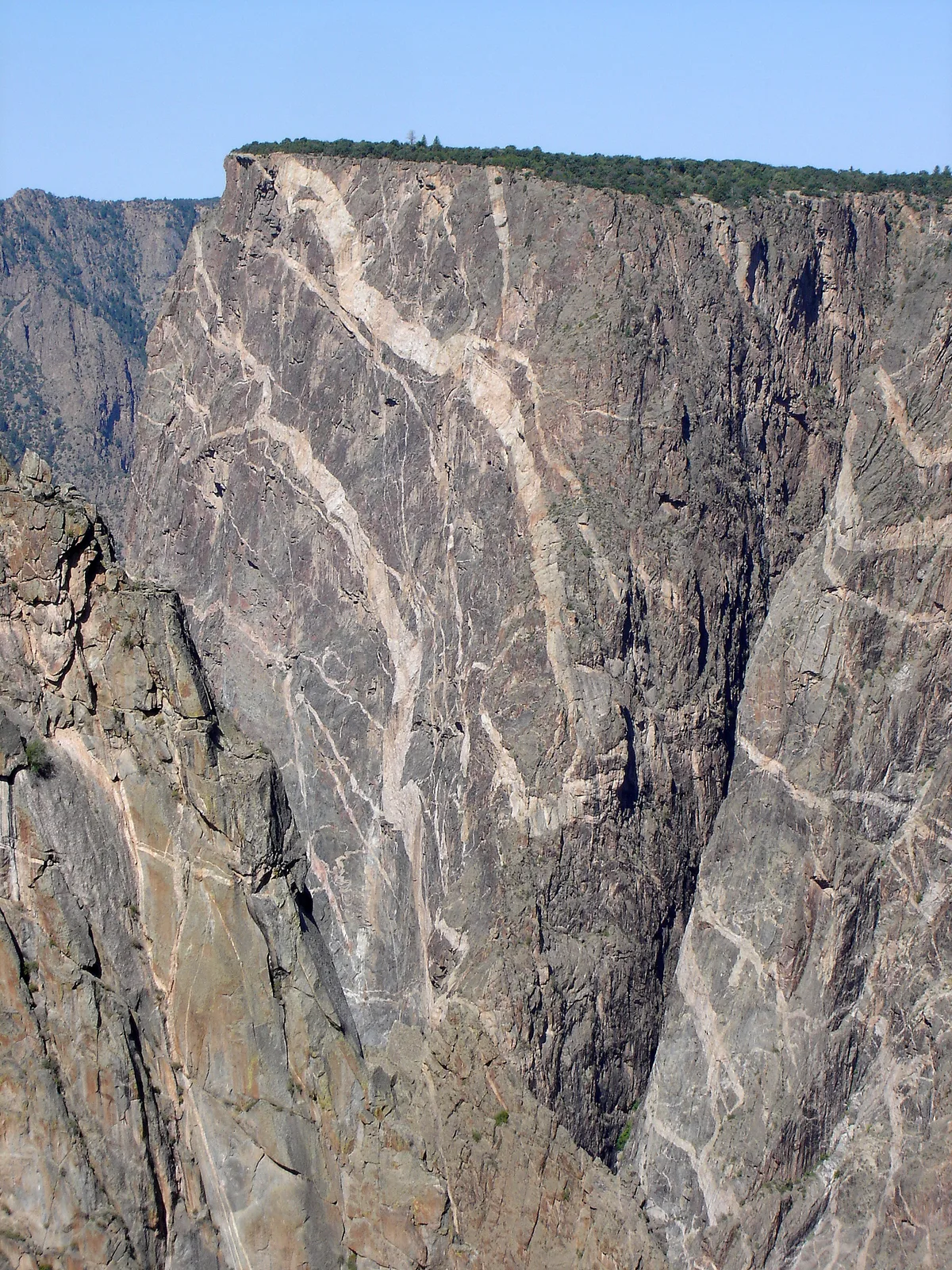 A massive sheer canyon wall fills the frame, its dark gray rock cut by broad white and pink pegmatite veins that streak diagonally down the face. A thin line of trees tops the cliff beneath a clear blue sky, emphasizing the wall’s height and depth.