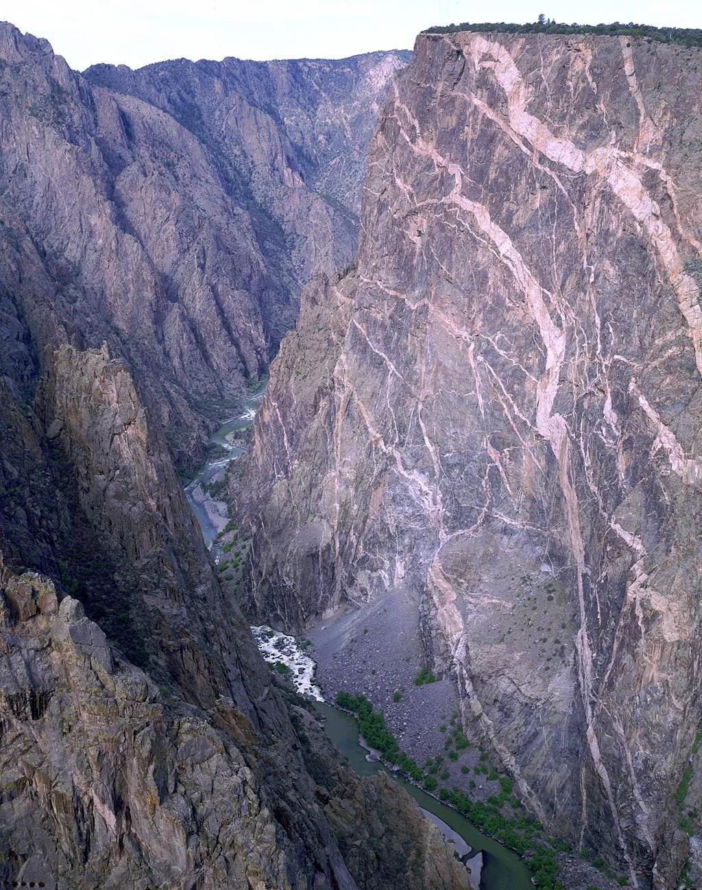 Sheer dark cliffs of Black Canyon of the Gunnison fill the frame, with the Painted Wall on the right streaked by pale pink and white pegmatite veins. Far below, the Gunnison River winds through the narrow canyon in morning light, emphasizing the sheer drop and rugged rock layers.