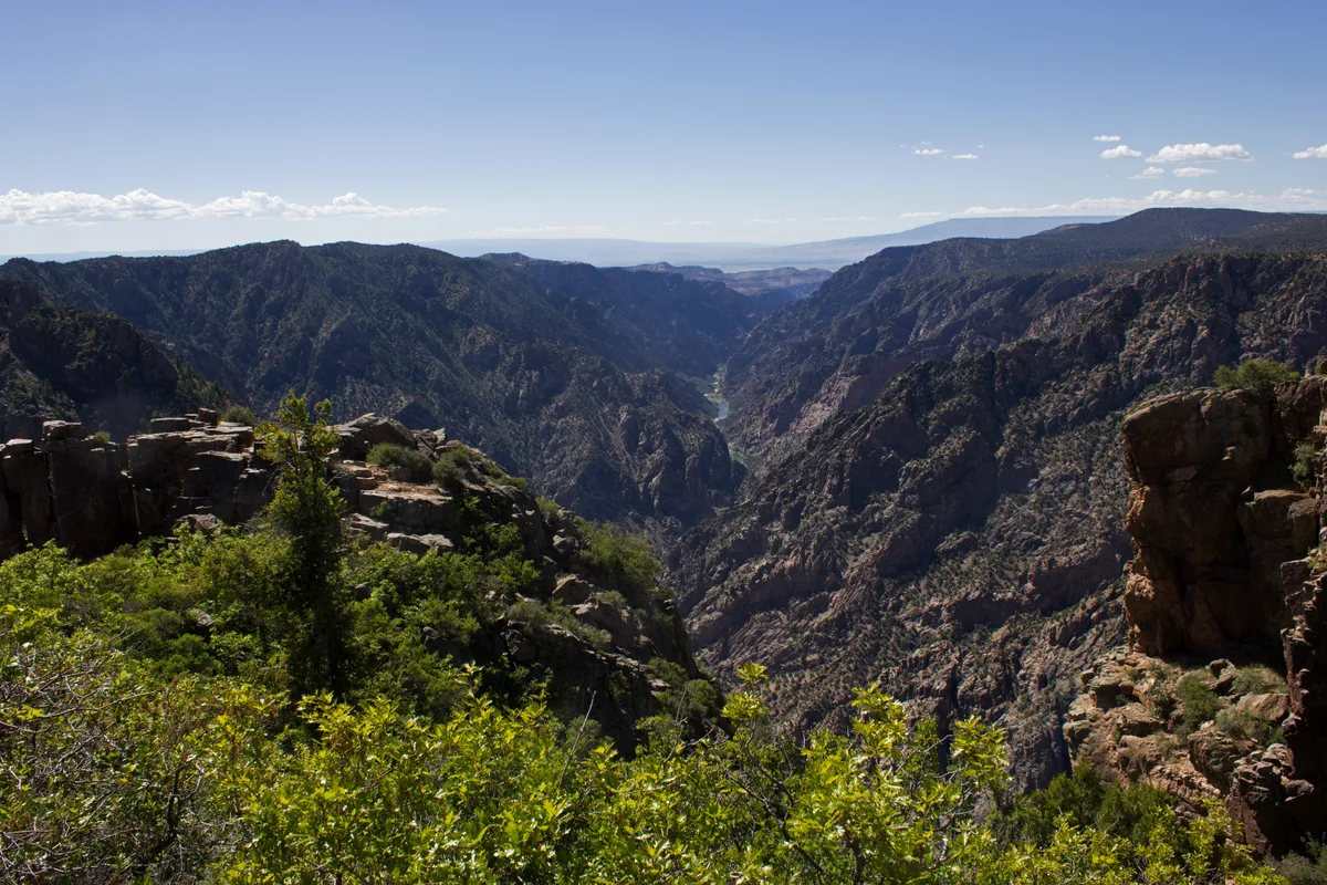 A wide view looks down the steep, rocky Black Canyon, with jagged dark walls dropping toward a thin ribbon of river far below. Bright green shrubs and sunlit cliff edges frame the foreground beneath a clear blue sky.