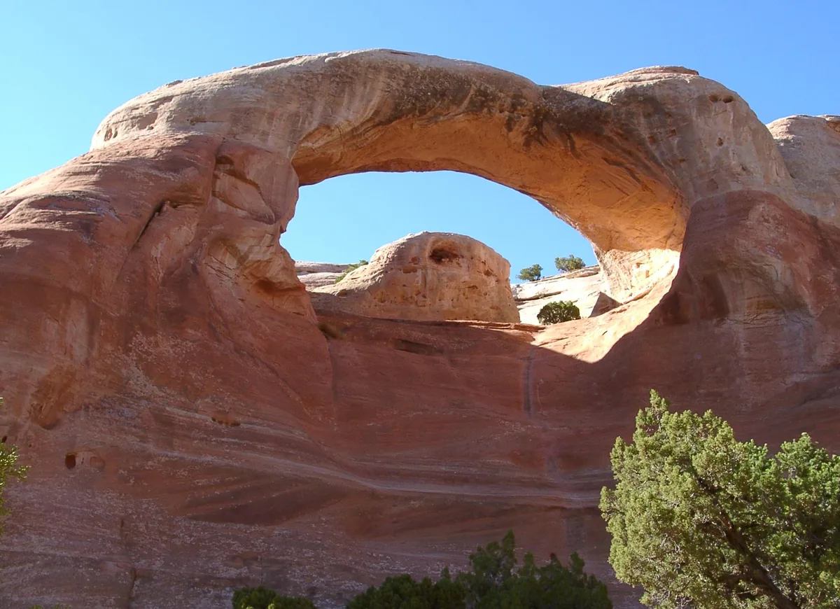 A large natural sandstone arch spans the frame, its warm red and tan rock glowing in bright morning light against a clear blue sky. Small cedar trees and shrubs cling to the base and rim of the canyon, emphasizing the remote desert setting.