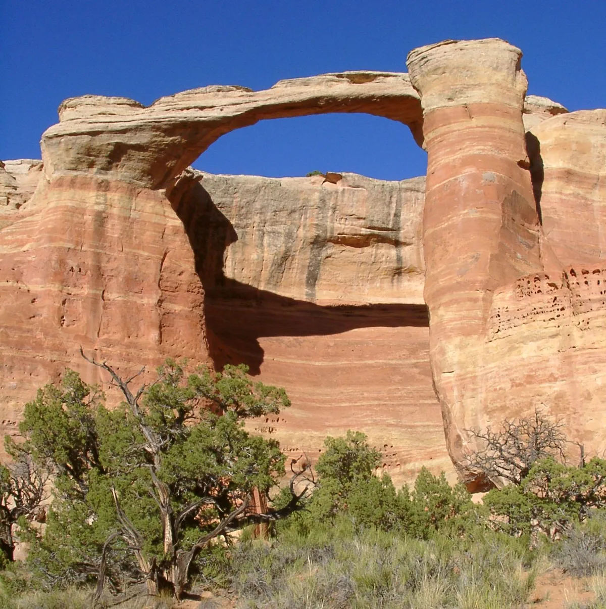 A massive natural sandstone arch spans between two striped red-and-tan rock towers under a cloudless blue sky. Desert shrubs and small junipers fill the foreground, emphasizing the remote canyon setting.