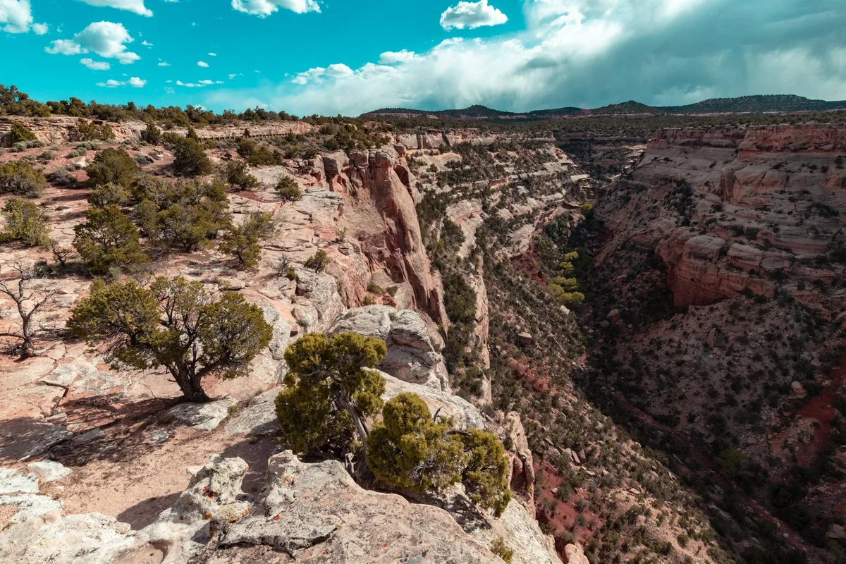 A wide view looks out over a rugged sandstone canyon with steep red-and-tan cliffs, scattered desert shrubs, and a deep shadowed ravine cutting through the center. Bright morning light and a vivid blue sky with puffy clouds give the remote wilderness a crisp, expansive feel.