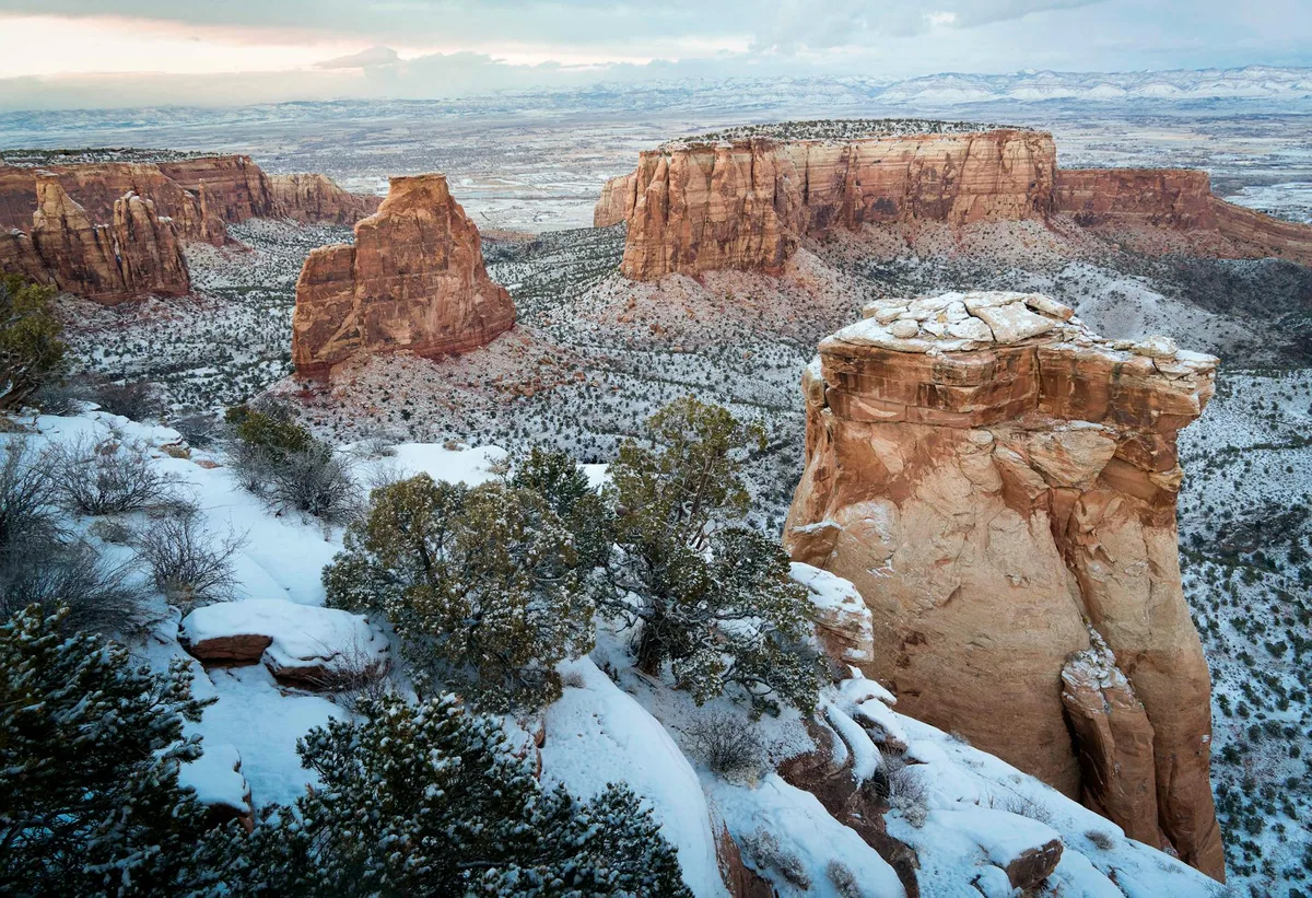 Snow blankets the foreground ledges and scrub while tall red sandstone cliffs rise across a wide desert canyon under a pale morning sky. The layered mesas and distant ridgeline give the scene a quiet, remote winter feel.