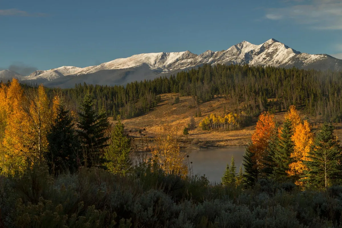 Snow-dusted mountain peaks rise beyond a dark evergreen forest, with a calm lake partly visible in the center and bright golden aspen trees glowing along the shoreline. The foreground is filled with shadowed shrubs and alpine tundra under clear morning light.
