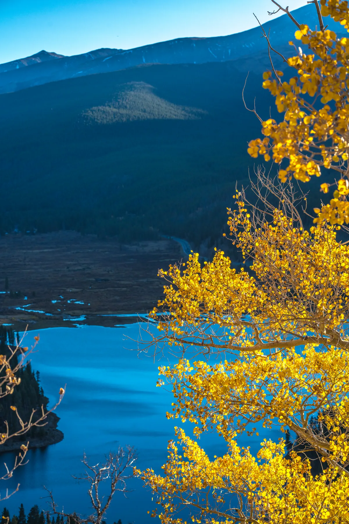 Golden aspen leaves fill the right side of the frame in bright morning light, overlooking a blue mountain lake and dark ridgelines beyond. The autumn color contrasts with the deep shadows on the slopes and the clear sky above.