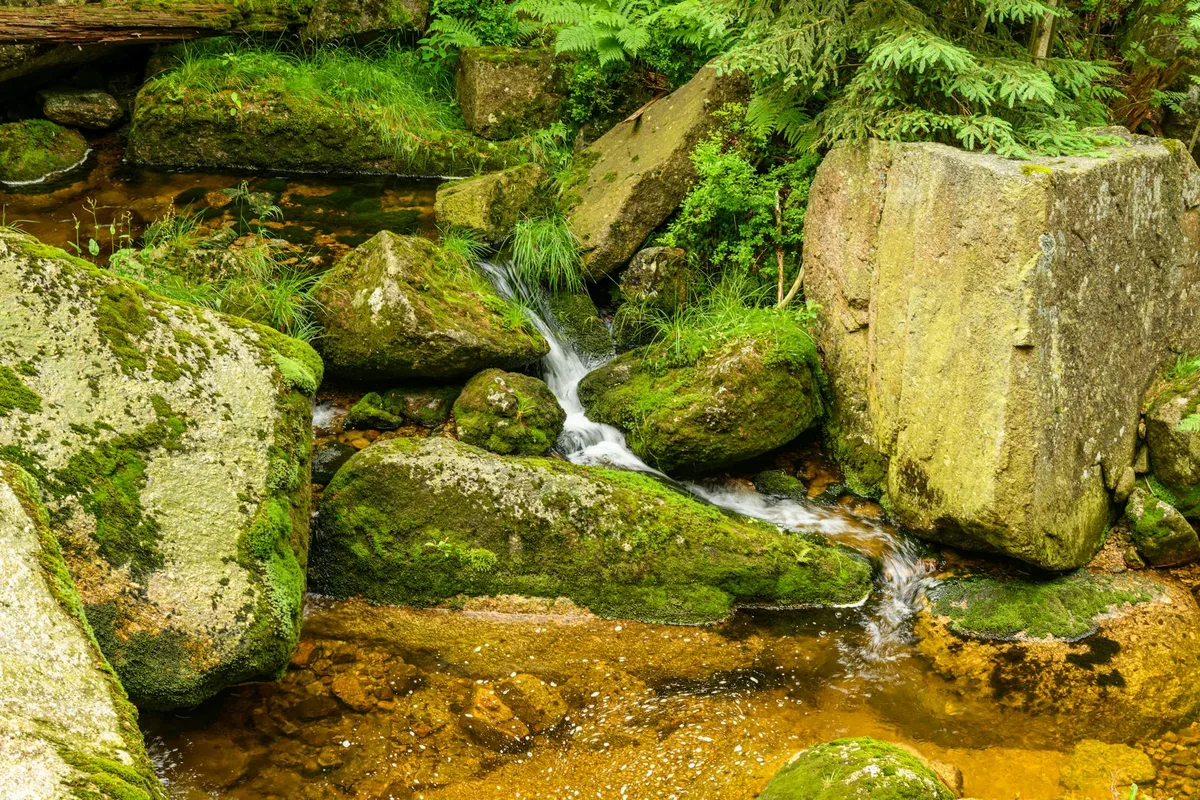 A small stream slips through moss-covered boulders and granite slabs, with clear amber water pooling in a shaded forest creek. Bright green ferns and wet rock textures fill the frame, giving the scene a lush, close-up feel.