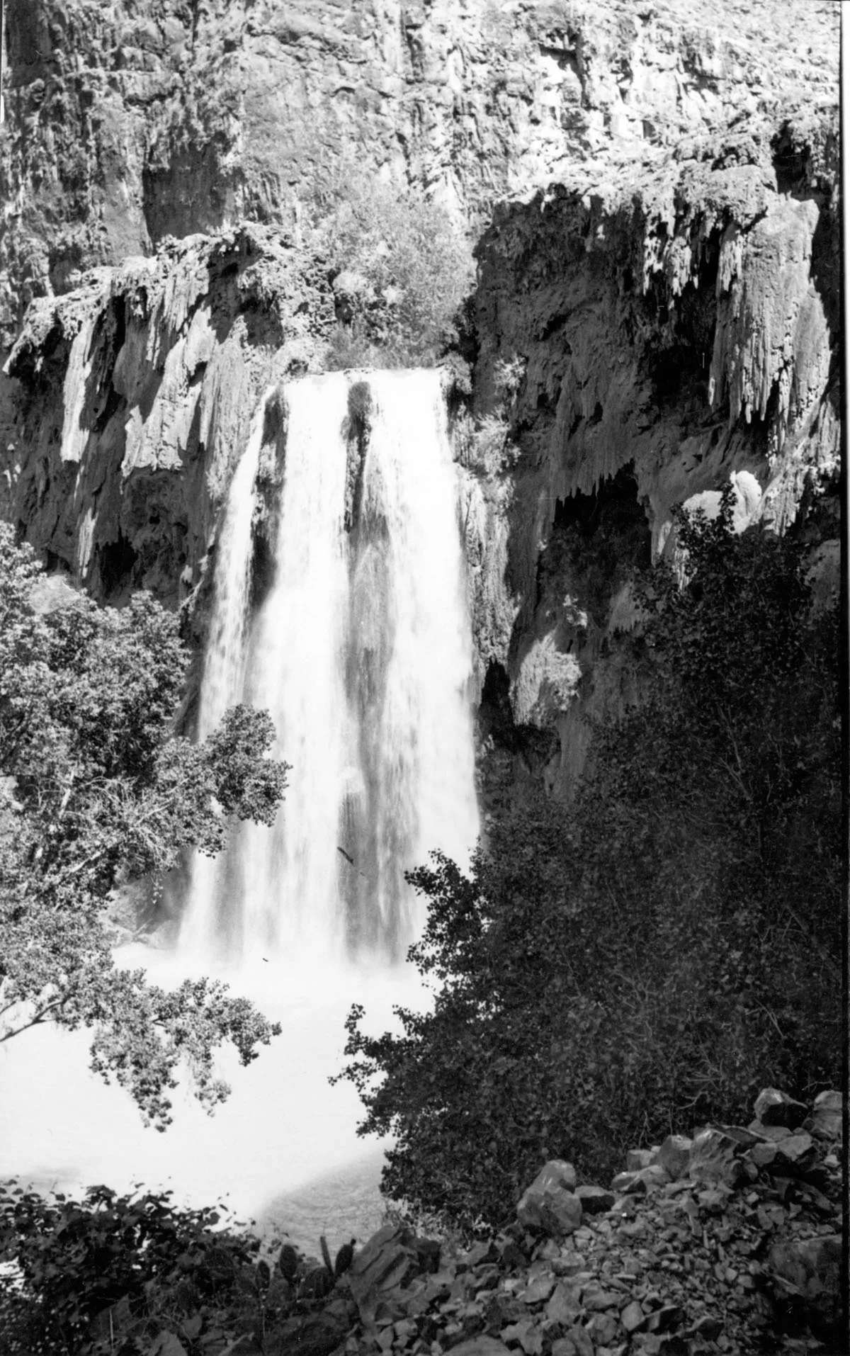 A tall waterfall drops in a silky white curtain between sheer canyon walls, with mist pooling at the base and dense trees framing the falls on both sides. The black-and-white image emphasizes the rugged rock texture and the enclosed, dramatic feel of the gorge.