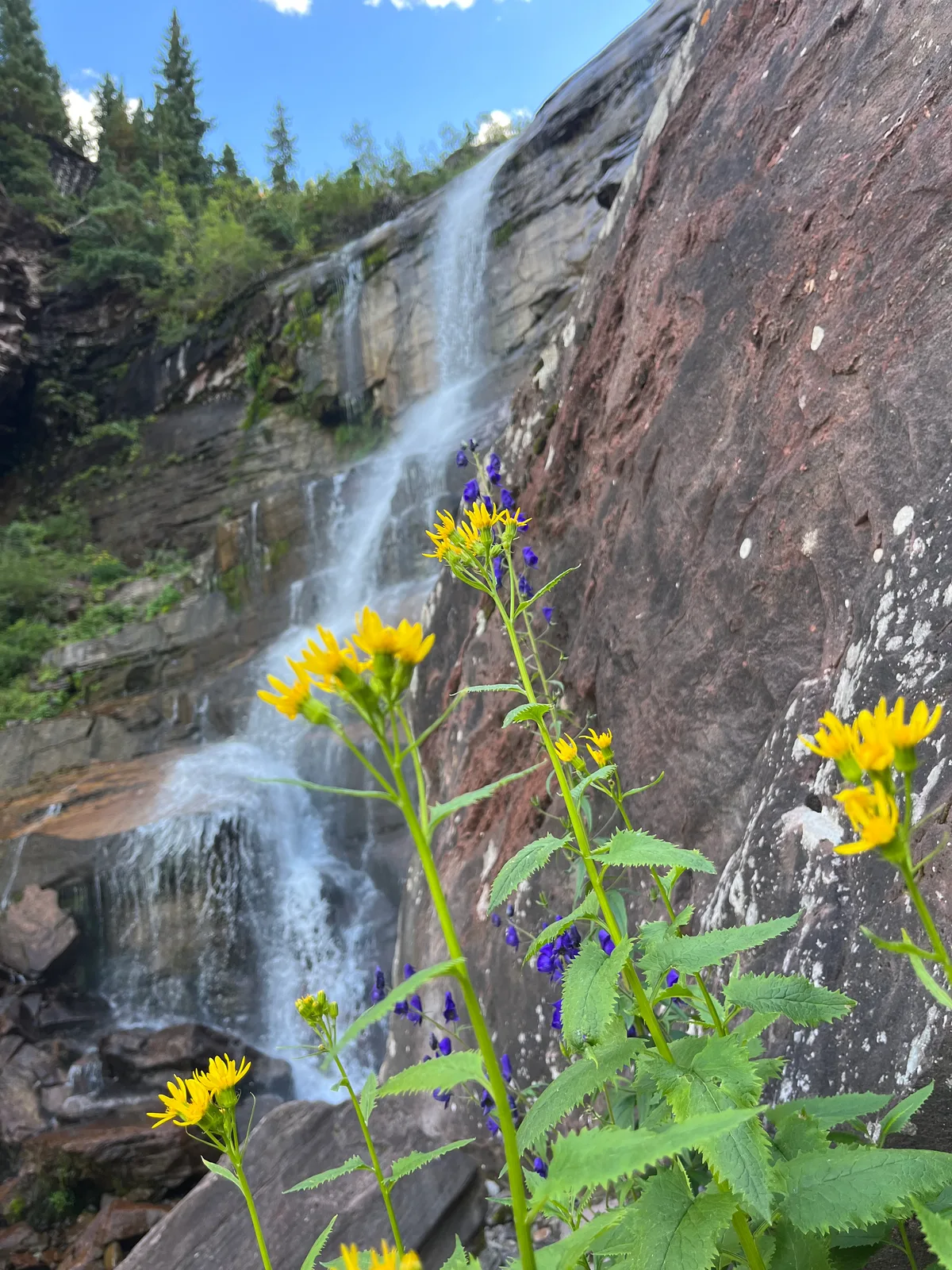 Yellow wildflowers and purple blossoms in the foreground frame Bridal Veil Falls dropping in a soft white ribbon over a steep rock face. The waterfall rises against a blue sky and dark evergreens, with misty water contrasting the textured cliff and boulders.