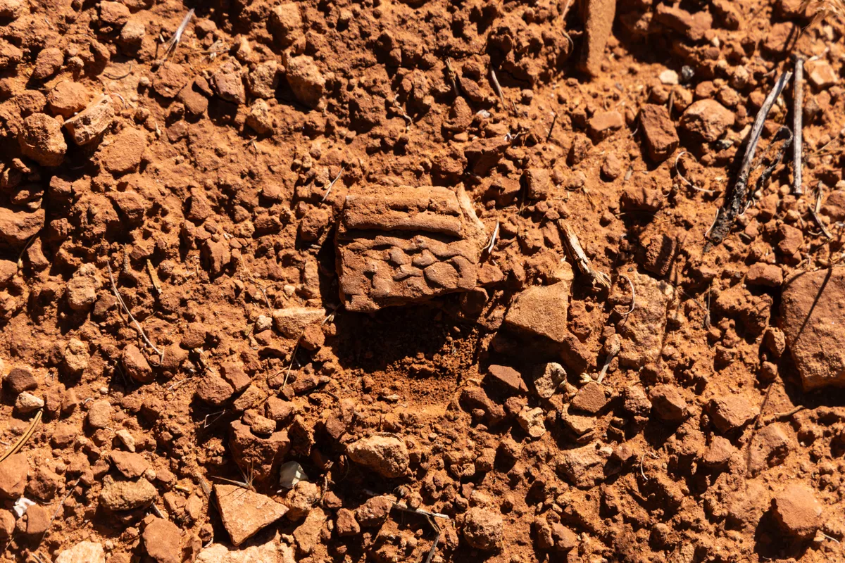 A tight close-up of sunlit red desert soil shows rough sandstone fragments, pebbles, and a few dry twigs scattered across the ground. The warm golden light emphasizes the texture and rust-colored tones of the canyon floor.