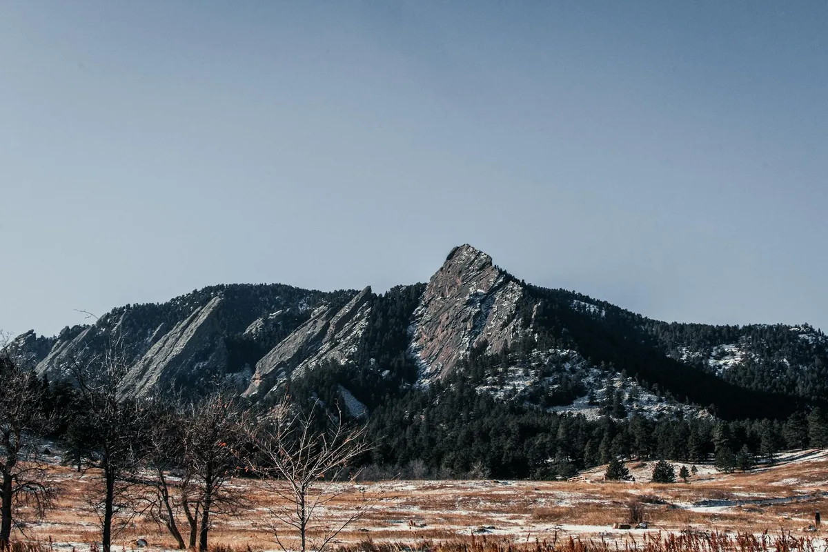 The Flatirons rise dramatically above a winter-brown meadow, with patchy snow on the slopes and dark evergreen forest lining the base. Bare trees in the foreground and a pale blue sky give the scene a crisp, quiet feel.