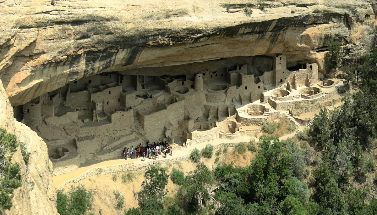 Wide view of Cliff Palace tucked beneath a massive sandstone overhang, with dozens of pale adobe-colored rooms and circular kivas built into the alcove. A small group of visitors stands on the sunlit ledge below, while green shrubs and trees fill the canyon foreground.