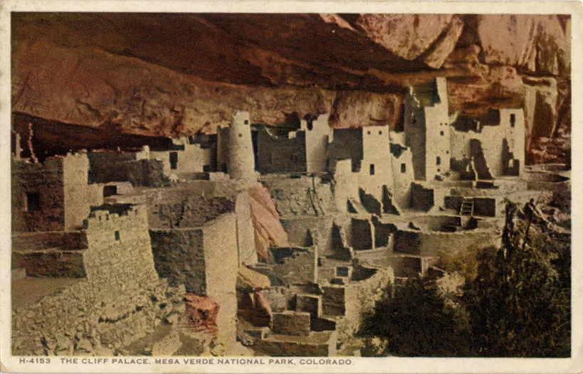 Wide view of Cliff Palace tucked beneath a massive red sandstone overhang, with pale stone rooms and tall rectangular towers clustered along the canyon wall. Afternoon light warms the alcove and throws deep shadows across the stepped ruins and surrounding scrub.
