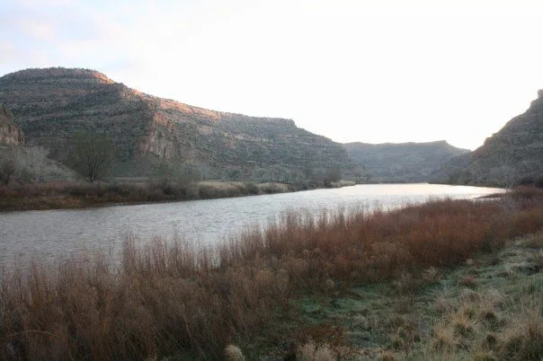 Calm water stretches through a canyon-like lake, reflecting the pale sky and the dark, layered Book Cliffs on both sides. Frosty grasses and brush line the shoreline in the foreground, with soft golden light touching the ridge tops.