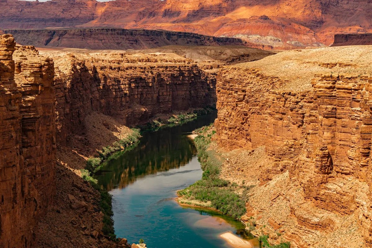 A winding, dark green river cuts through a deep red-rock canyon, with steep layered cliffs rising on both sides and a strip of bright sand and green shrubs along the water’s edge. Warm golden-hour light glows on the mesa tops and canyon walls, while the river reflects the cliffs in the shaded center.