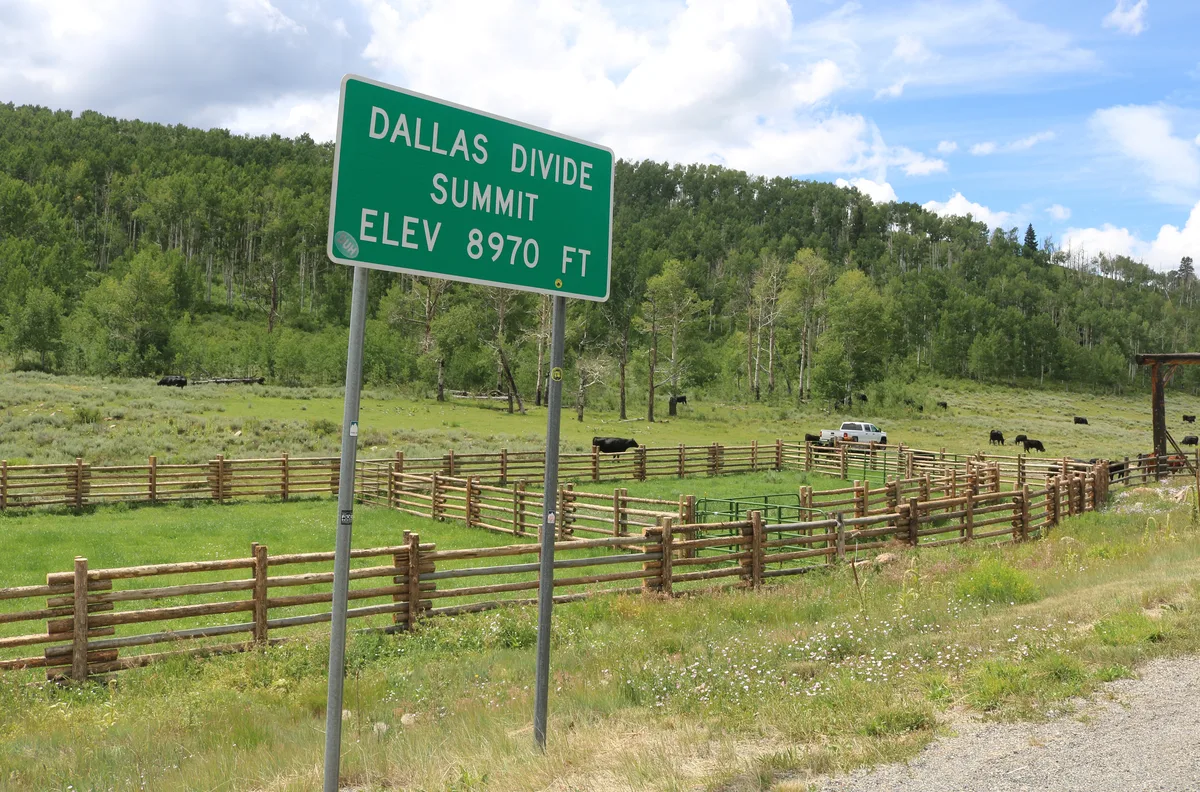 A green roadside sign for “Dallas Divide Summit, Elev 8970 Ft” stands in the foreground beside a rail-fenced pasture with grazing cattle and a white pickup truck. Behind it, a lush green hillside rises under a bright blue sky with puffy clouds.