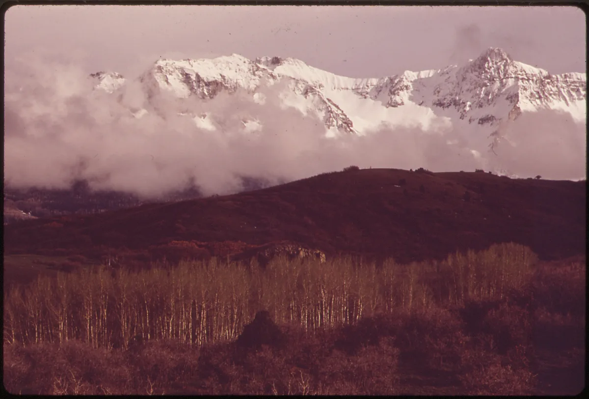 Snowy peaks of the Wilson Range rise above a low dark ridge, with a band of pale aspens and autumn brush in the foreground. Soft clouds cling to the mountains under a pink-purple golden-hour sky.