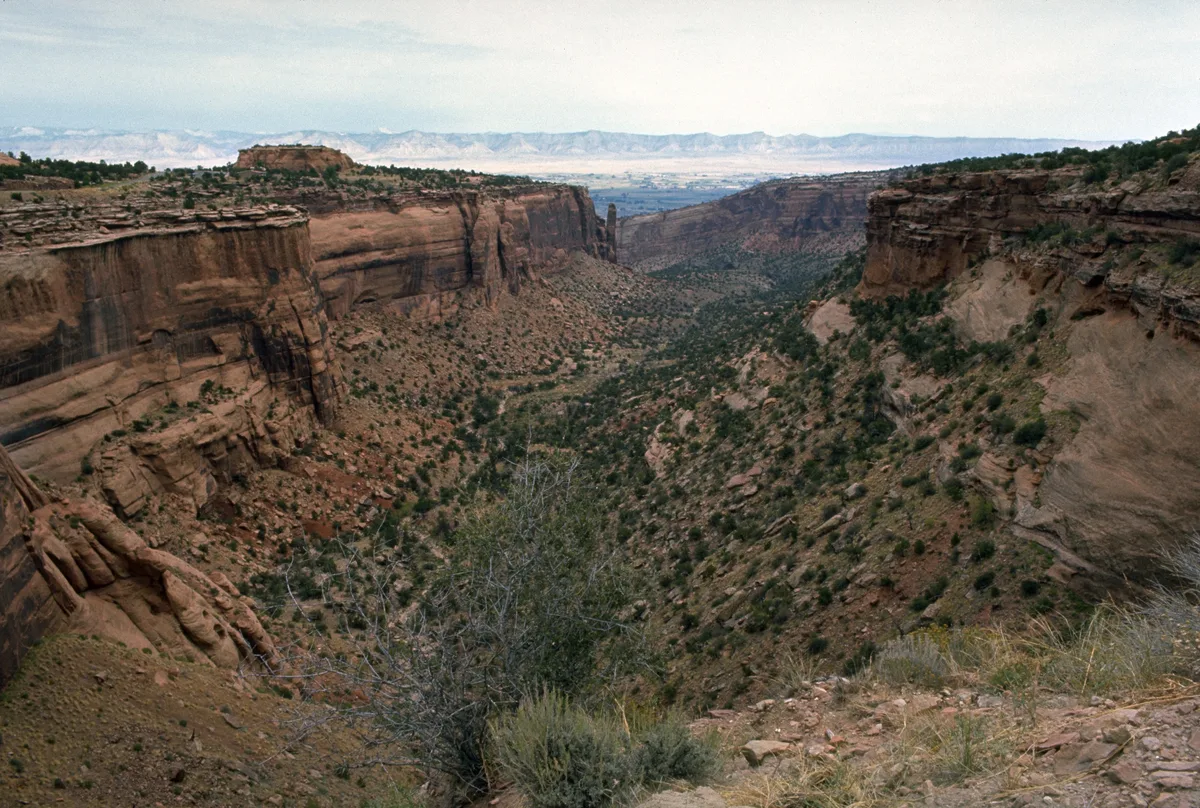 A wide view looks down into a long, steep sandstone canyon in Colorado National Monument, with layered red cliffs dropping into a brushy ravine. Pale morning light softens the rock walls under a hazy sky, and distant mesas and mountains line the horizon.