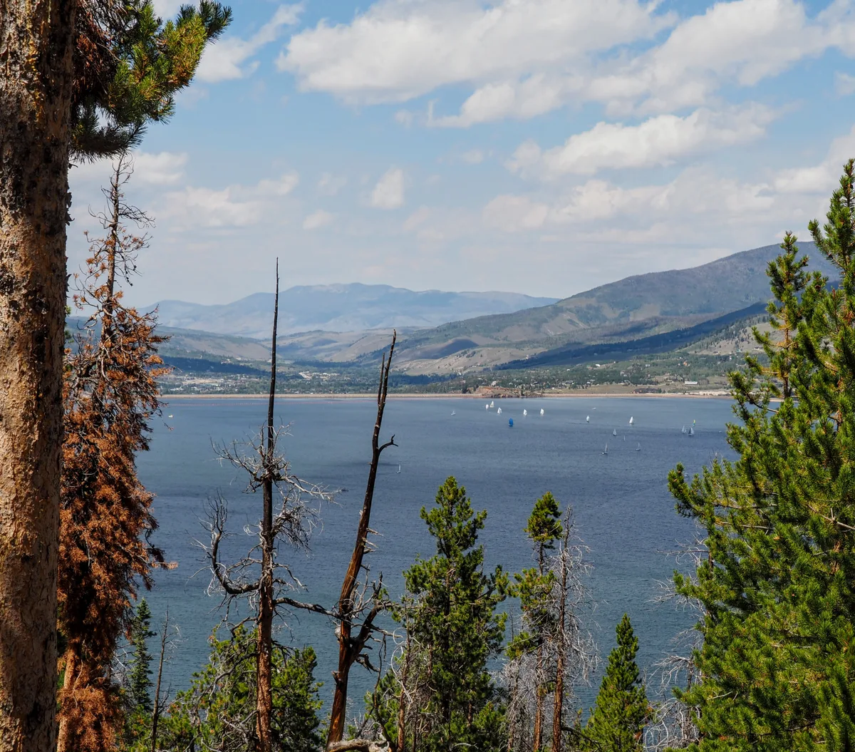 Looking across Dillon Reservoir from a tree-lined overlook, small sailboats dot the deep blue water beneath a broad sweep of mountain ridges and a partly cloudy sky. The foreground is framed by tall pines and a few bare trunks, adding depth to the wide alpine view.
