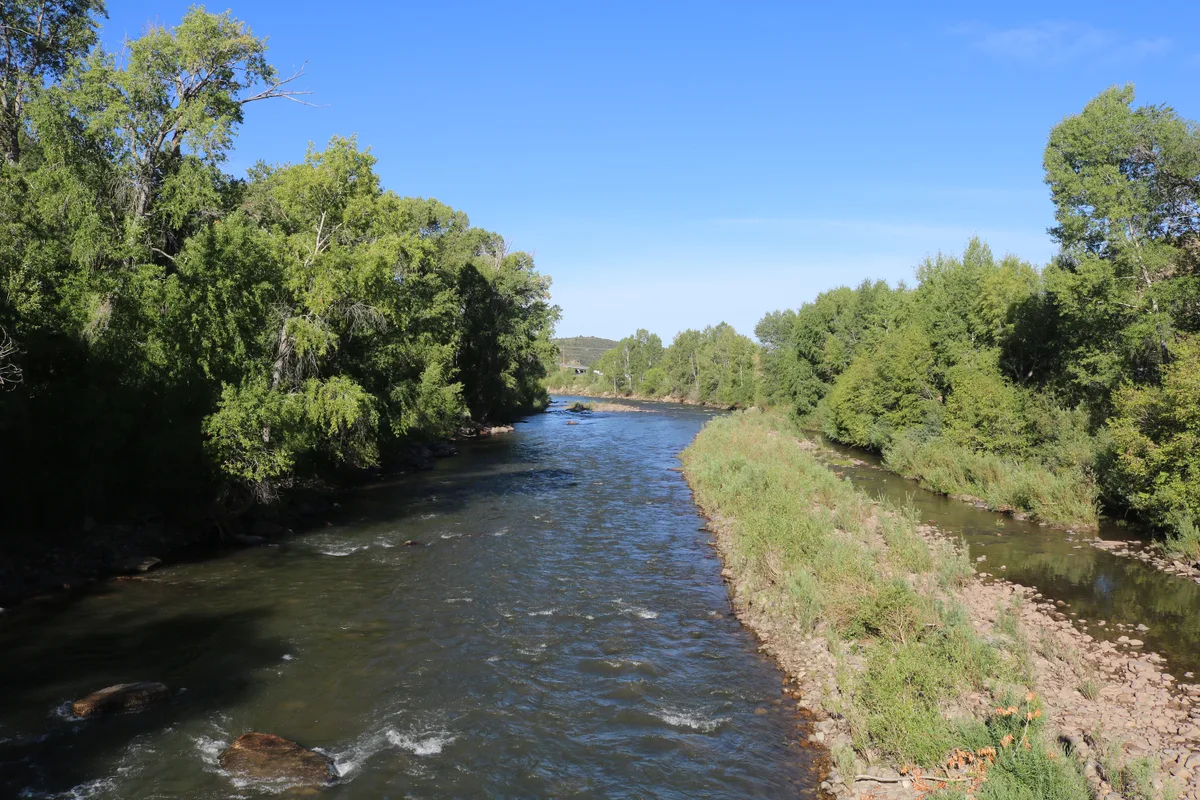The Dolores River winds through a green cottonwood-lined canyon under a clear blue sky, with sunlit banks and dark rippling water. A narrow gravel and brush-covered strip divides the main channel from a shallow side channel on the right.