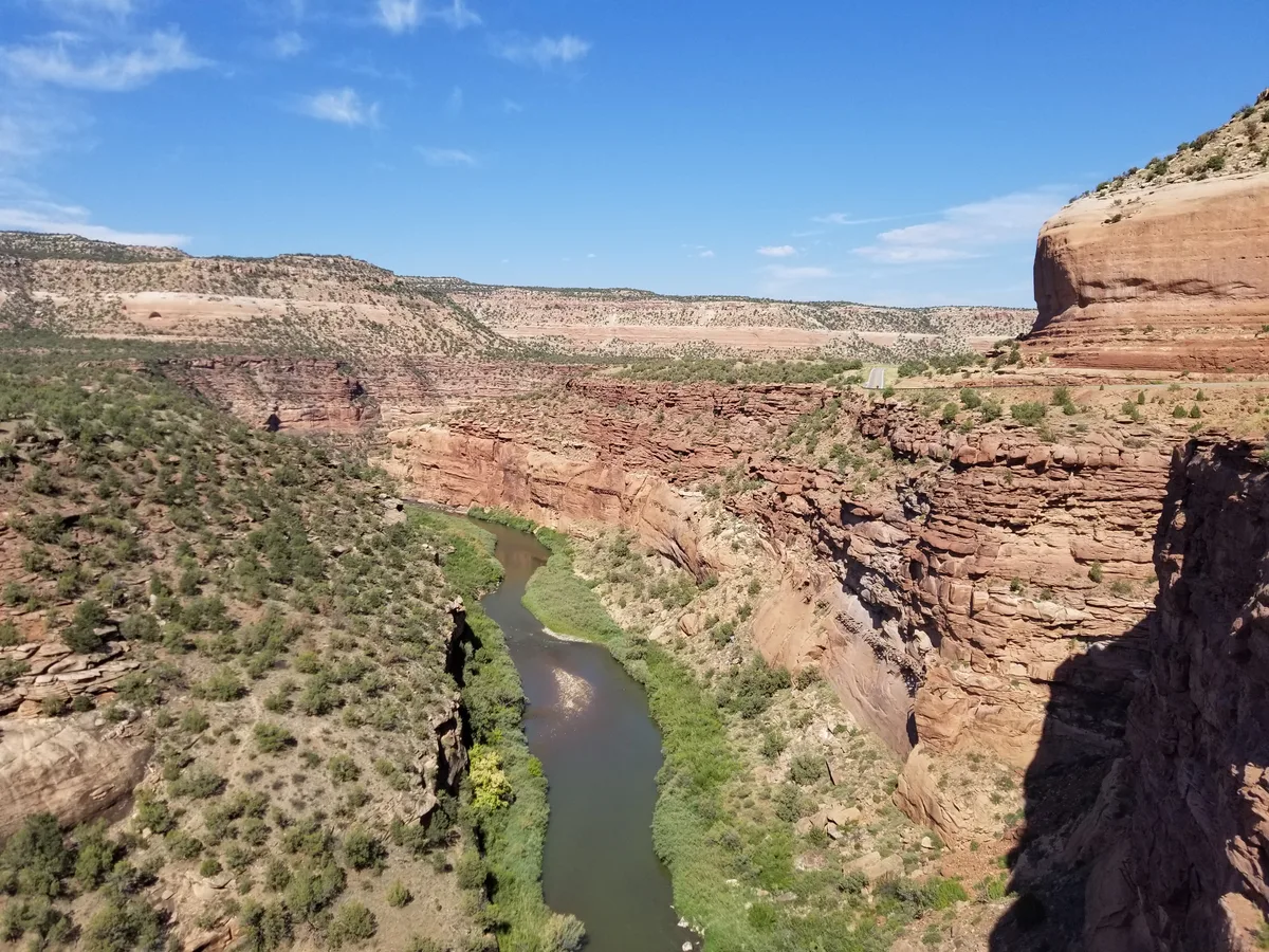 A winding green river cuts through a deep red sandstone canyon, with steep sunlit cliffs on the right and scrub-covered slopes on the left under a clear blue sky. The overlook perspective emphasizes the narrow riparian corridor and layered rock walls.