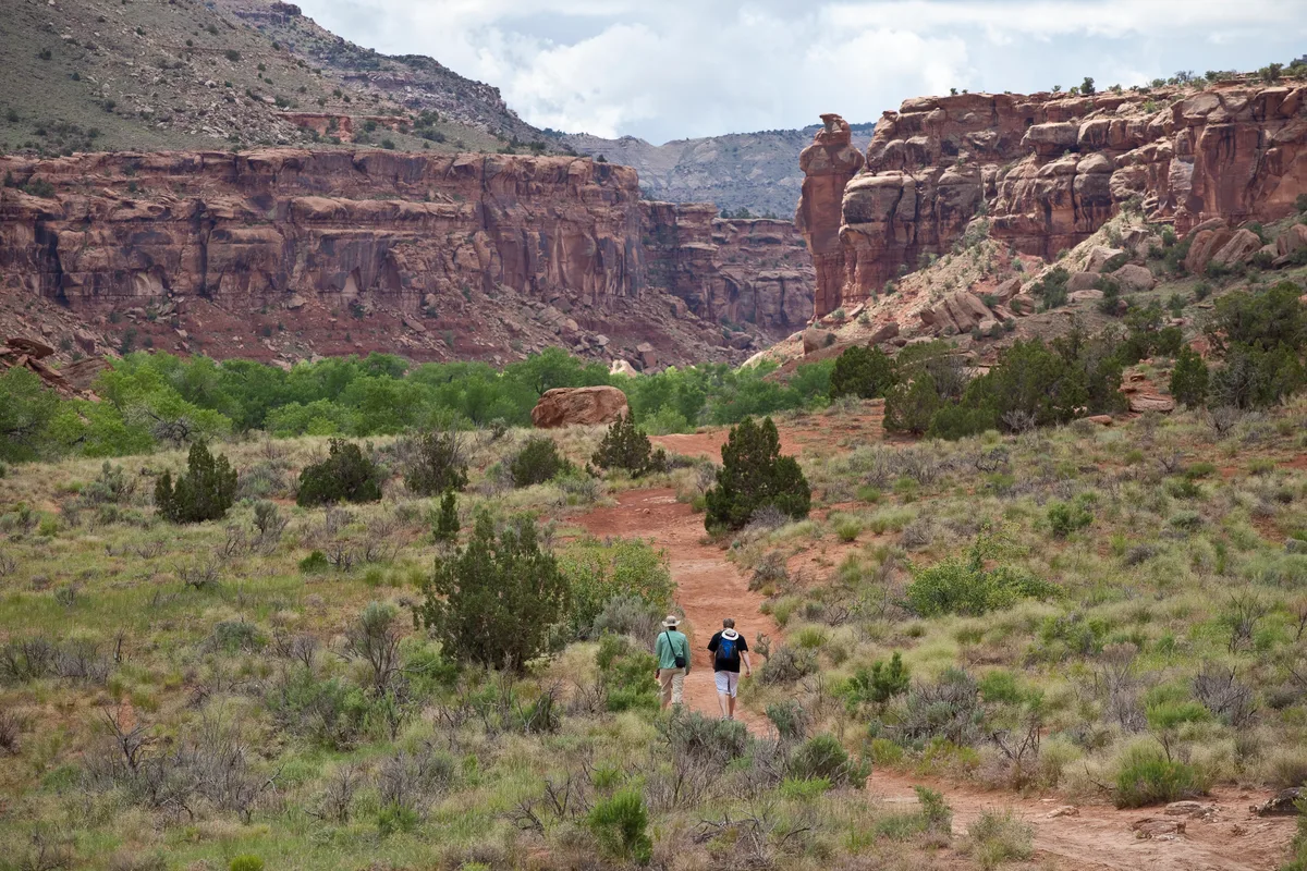 Two hikers follow a dusty red trail through open desert scrub toward towering sandstone canyon walls, with a green ribbon of trees marking the creek below. Soft morning light and a cloudy sky give the scene a quiet, remote feel.