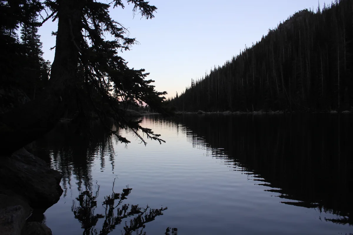 Dark, still water in Dream Lake reflects the silhouettes of evergreen trees and the steep, forested slope on the right, with a pale twilight sky fading to pink near the horizon. Overhanging pine branches frame the left side, creating a calm, narrow composition.
