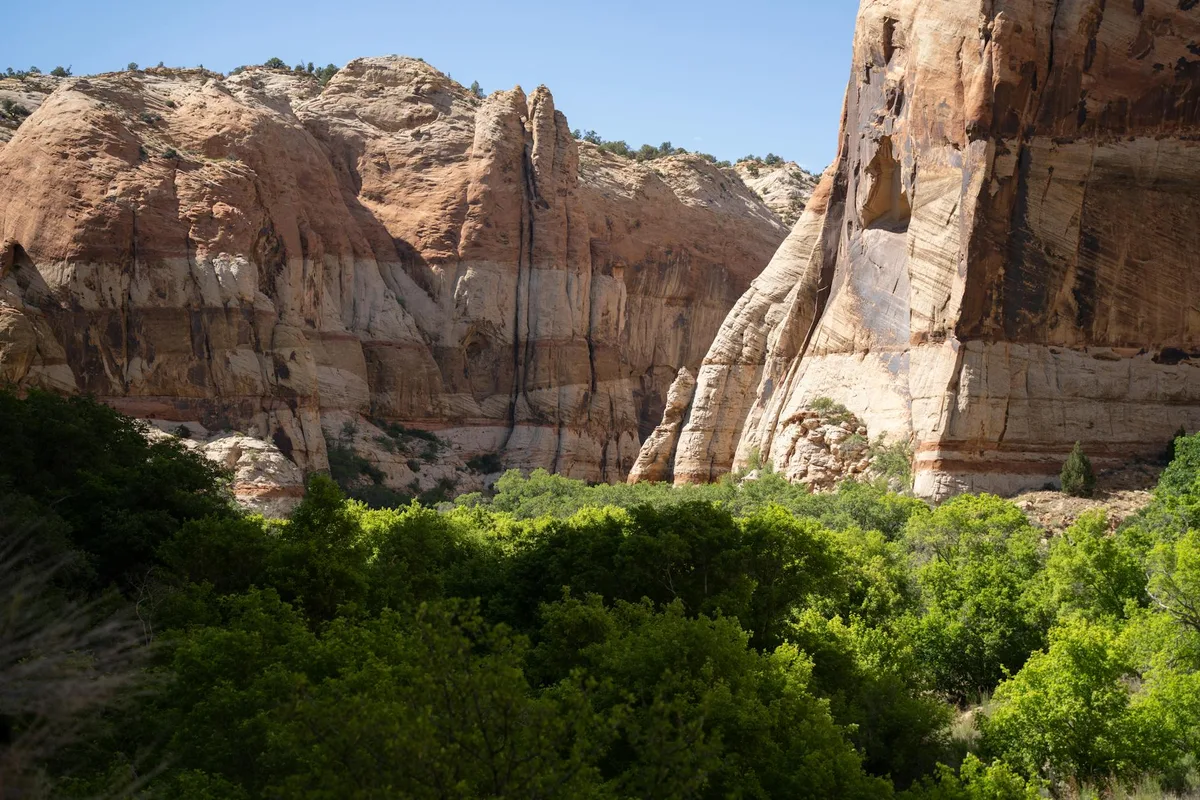 Escalante Canyon