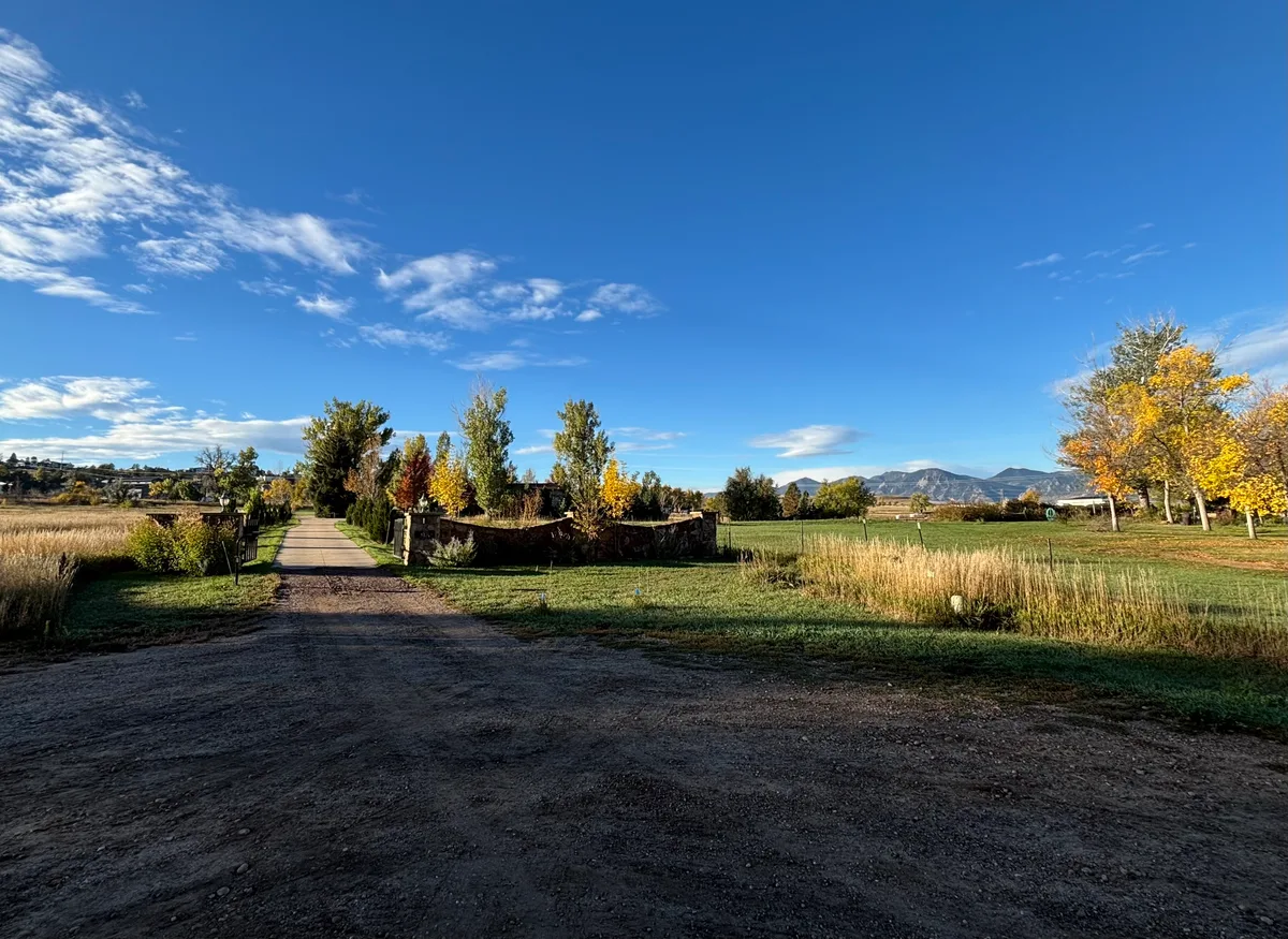 A dirt path leads through open grassland and autumn-colored trees toward the distant Flatirons, which rise low on the horizon beneath a wide, clear blue sky. Golden light warms the yellow leaves and prairie grasses, giving the foothills scene a crisp fall feel.