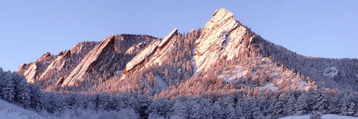 Snow-covered Flatirons glow pink in early sunrise light, rising sharply above a dense winter forest and foothills. A clear blue sky frames the dramatic tilted rock slabs and frosted trees below.
