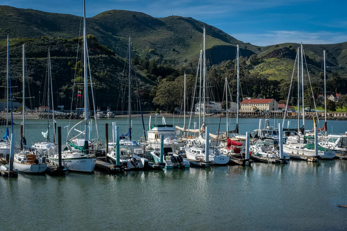 Sailboats packed tightly along the marina sit on calm blue water, their masts rising in front of steep green hills under clear daylight. A red-roofed waterfront building and a few small reflections add detail across the harbor.