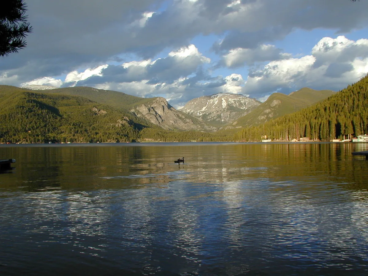 Grand Lake stretches across the foreground with golden light reflecting on the rippled water, while dark green pine-covered slopes and snow-dusted mountains rise in the distance. A few lakeside buildings line the right shore, and a lone duck sits near the center of the calm surface.