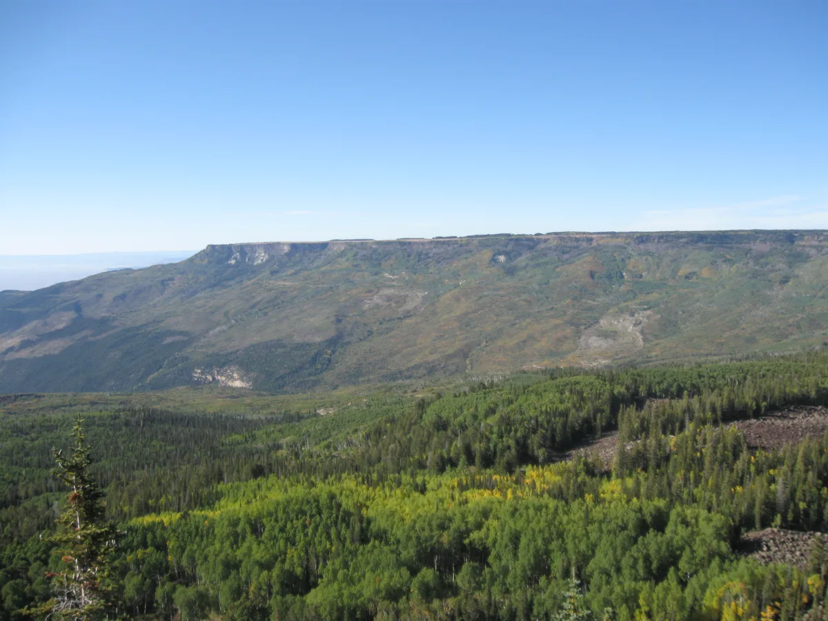Wide view from Grand Mesa across a broad, flat-topped ridge with steep cliffs and forested slopes below. A patchwork of green conifers and yellow aspen fills the foreground under a clear blue sky.