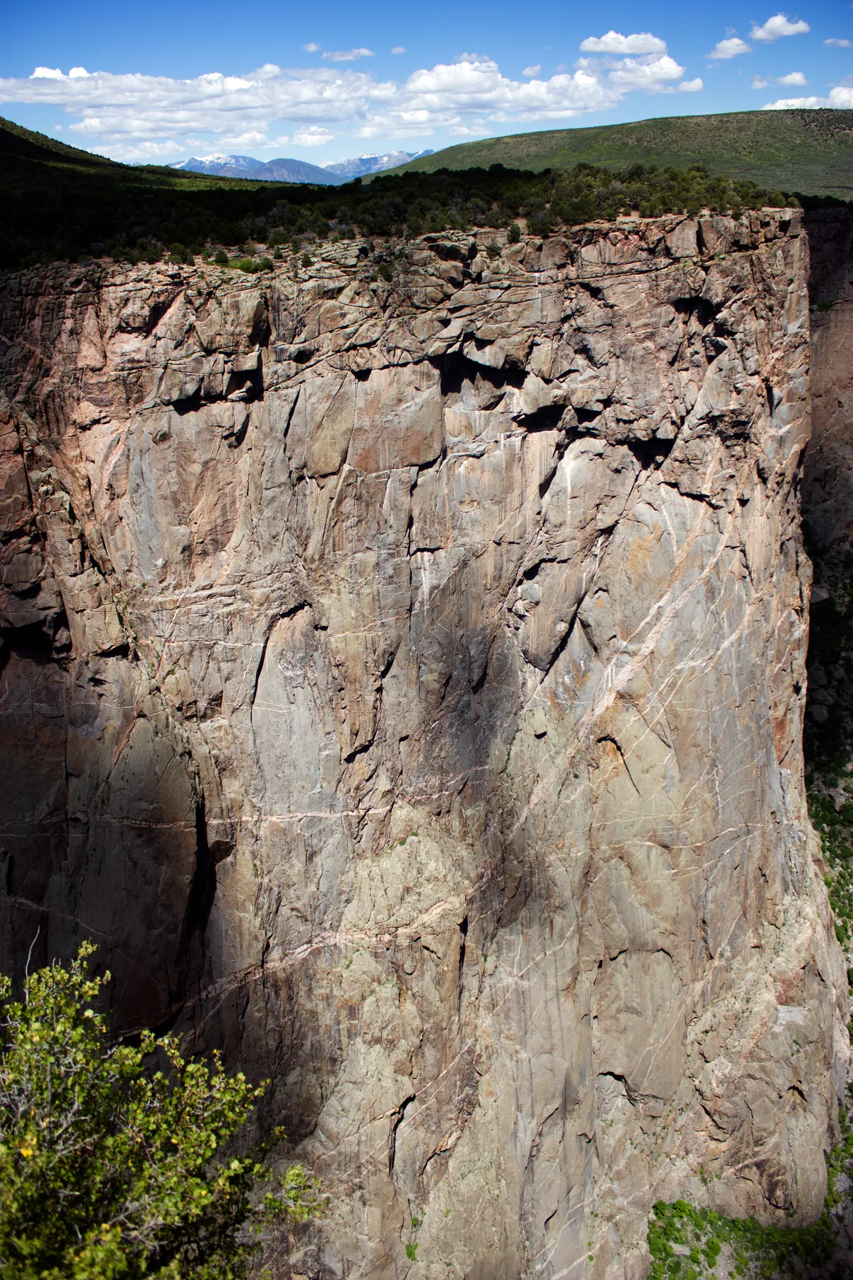 Sheer gray canyon walls drop almost vertically from a scrubby rim, with sunlit rock faces marked by cracks and ledges. In the distance, green hills and snowcapped mountains sit beneath a bright blue sky with scattered white clouds.