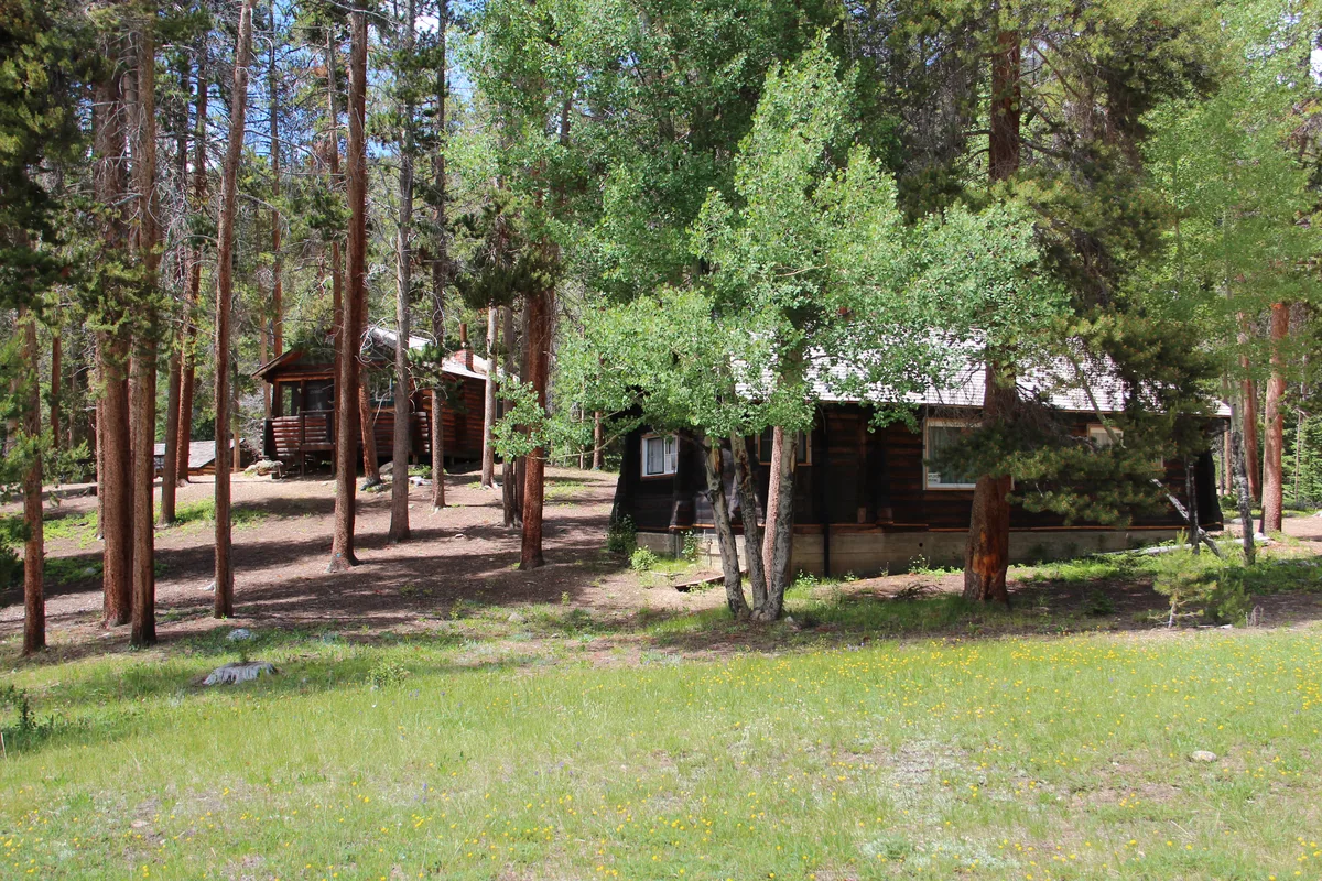 Weathered log cabins from the Holzwarth Historic Site sit among tall pine and aspen trees, with one cabin framed by branches in the foreground and another tucked farther back on a gentle, shaded slope. A grassy meadow with scattered wildflowers fills the front of the scene, giving it a quiet, rustic feel.