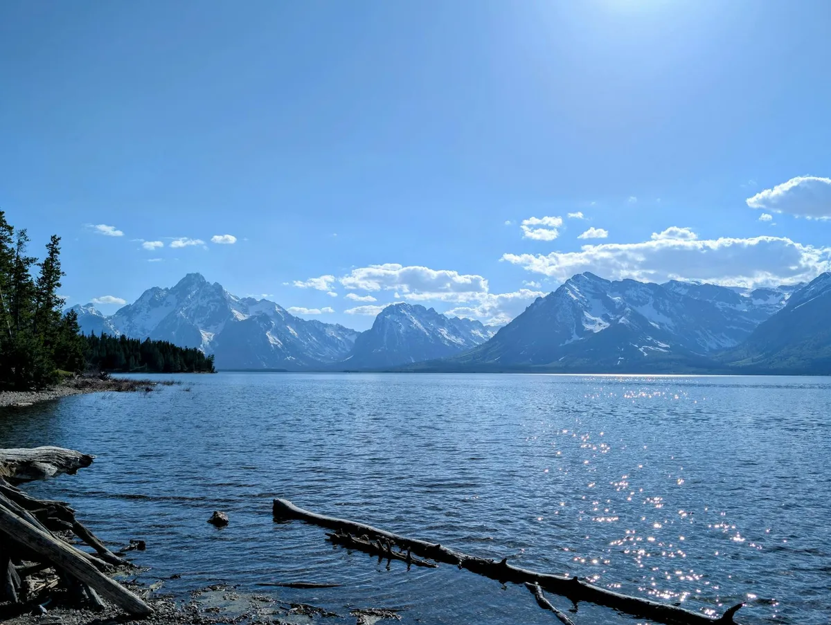 Bright midday light glints off a calm blue lake, with snow-streaked mountains rising across the water under a wide, clear sky. Dark evergreen trees and driftwood frame the rocky shoreline in the foreground.