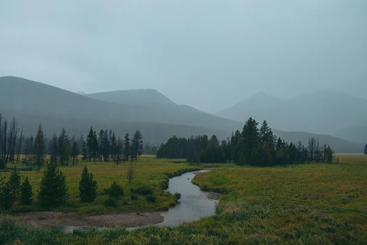 A misty mountain valley stretches behind a winding stream and open green meadow, with dark pine clusters in the midground and hazy ridgelines fading into the gray sky. The soft, overcast light gives the scene a cool, quiet look.
