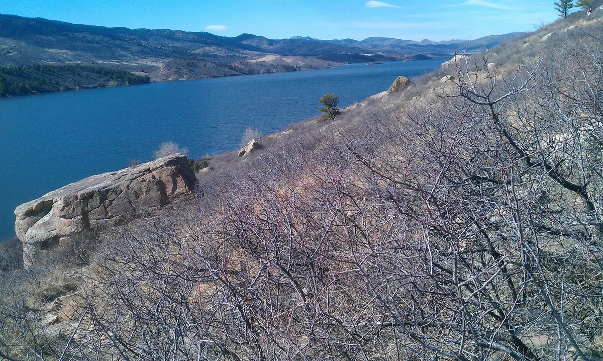 Wide view over Horsetooth Reservoir from a scrubby hillside, with deep blue water stretching between low foothills and hogback ridges. Leafless branches and a large sunlit rock outcrop fill the foreground under clear daylight.