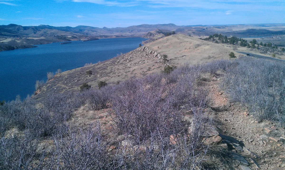 A wide view looks out over Horsetooth Reservoir, with deep blue water curving around a rocky hogback ridge and tan foothills. Dry shrubs and a narrow trail fill the foreground, leading the eye toward the distant mountains under a clear blue sky.
