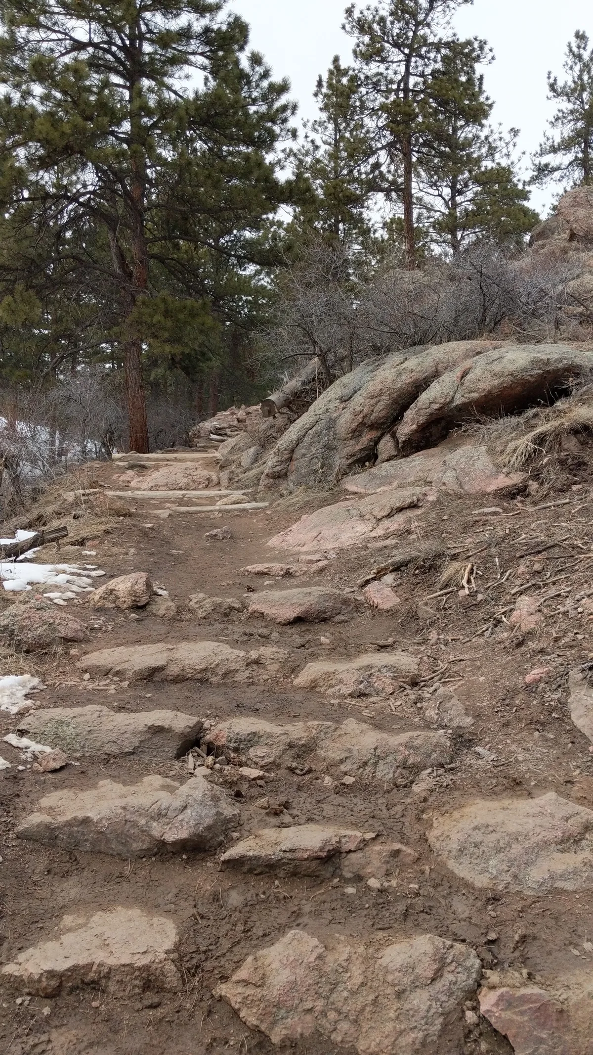 A steep, rocky hiking trail climbs through pine trees and scrub, with rough stone steps leading past patches of snow and a large rounded boulder on the right. The scene feels early spring and overcast, with muted earth tones throughout.