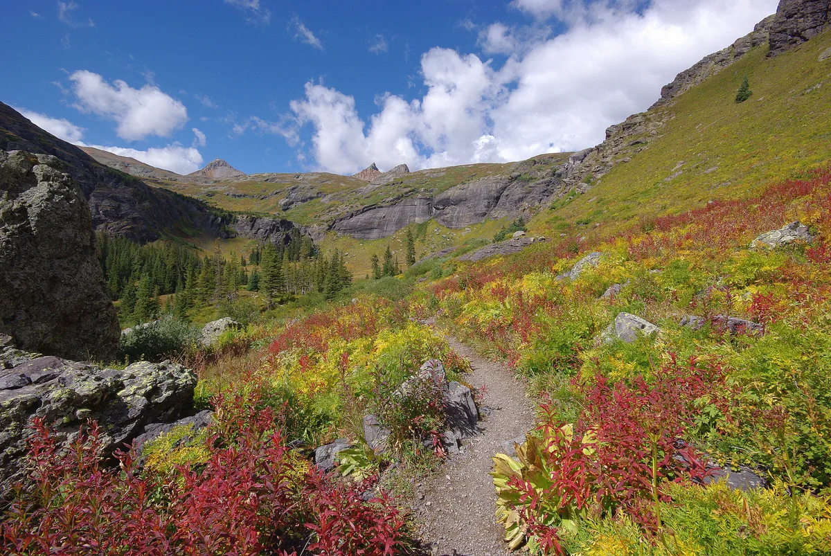 A narrow dirt trail winds through a high alpine meadow of red, yellow, and green wildflowers, with granite boulders and steep gray cirque walls rising around it. Above the basin, evergreen trees dot the lower slopes under a bright blue sky with scattered white clouds.