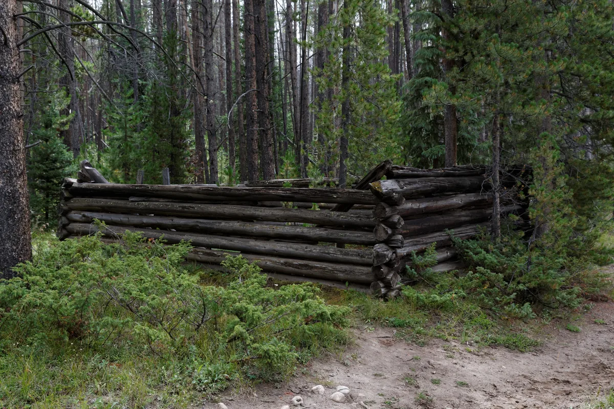 A weathered log corral sits in a dense pine forest, surrounded by low green shrubs and tall straight trunks. A narrow dirt path curves past the foreground, with muted late-day light giving the scene a cool, quiet feel.